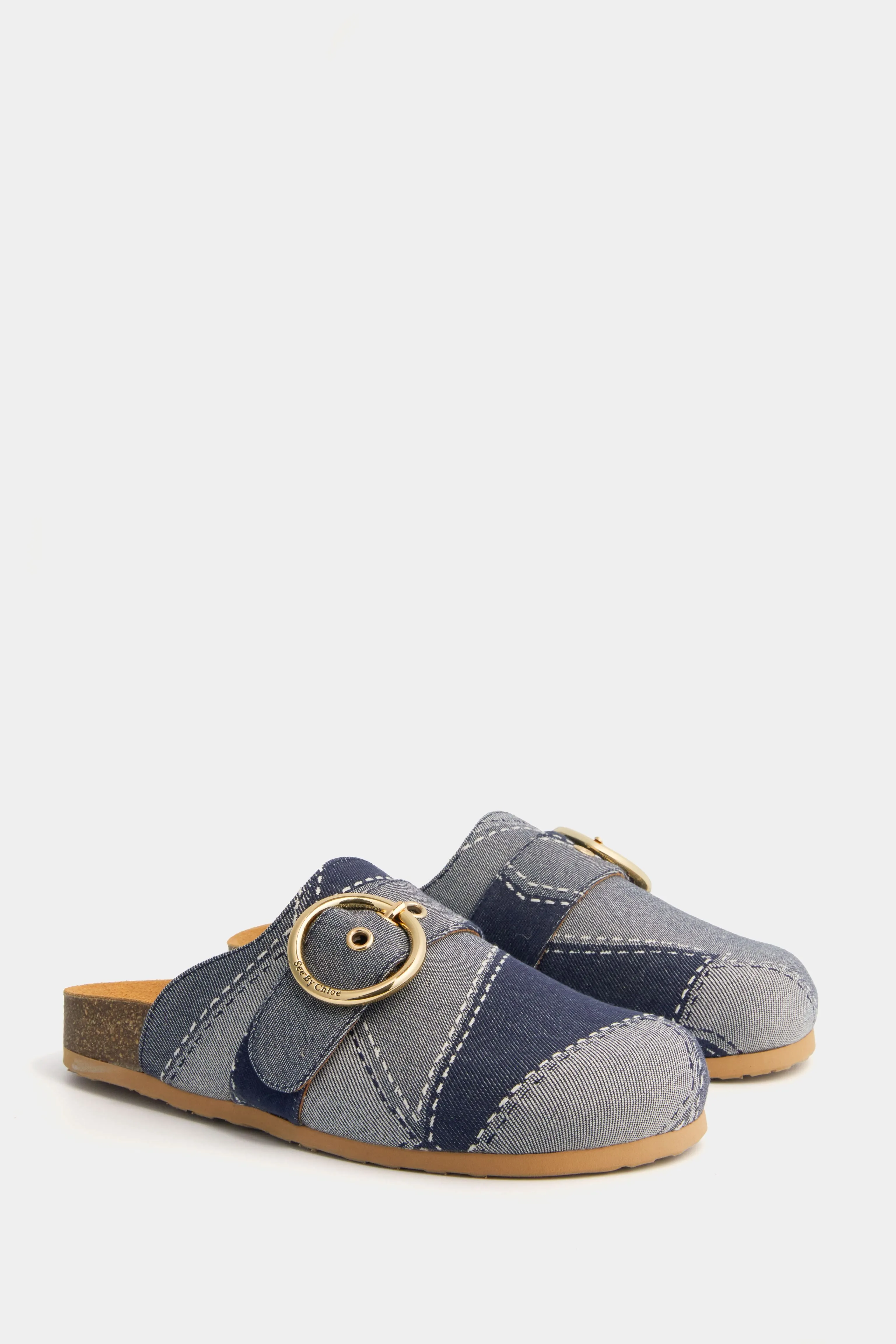 Blue Joei Slides